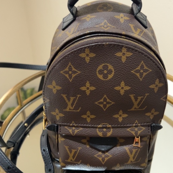 Louis Vuitton Palm Spring Mini - Picture 5 of 5